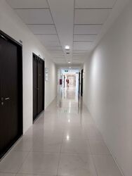 Vertex (D14), Factory #605314371